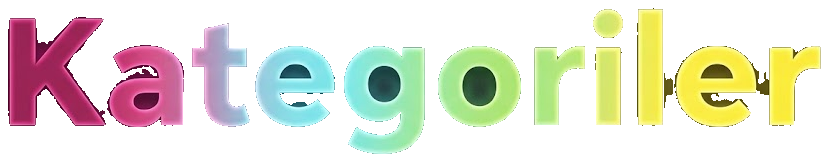 Kategoriler